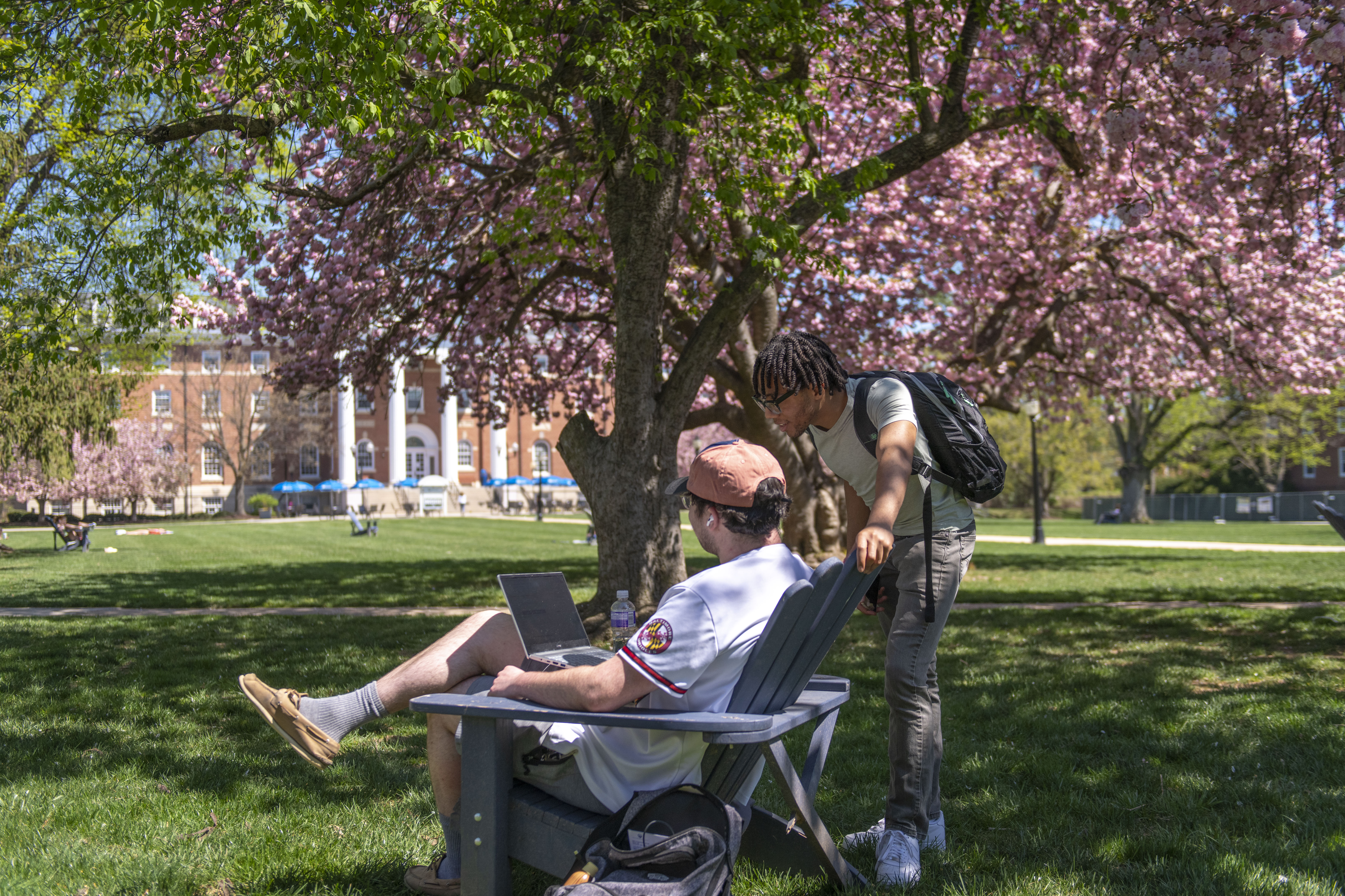 Students in Quad Interacting