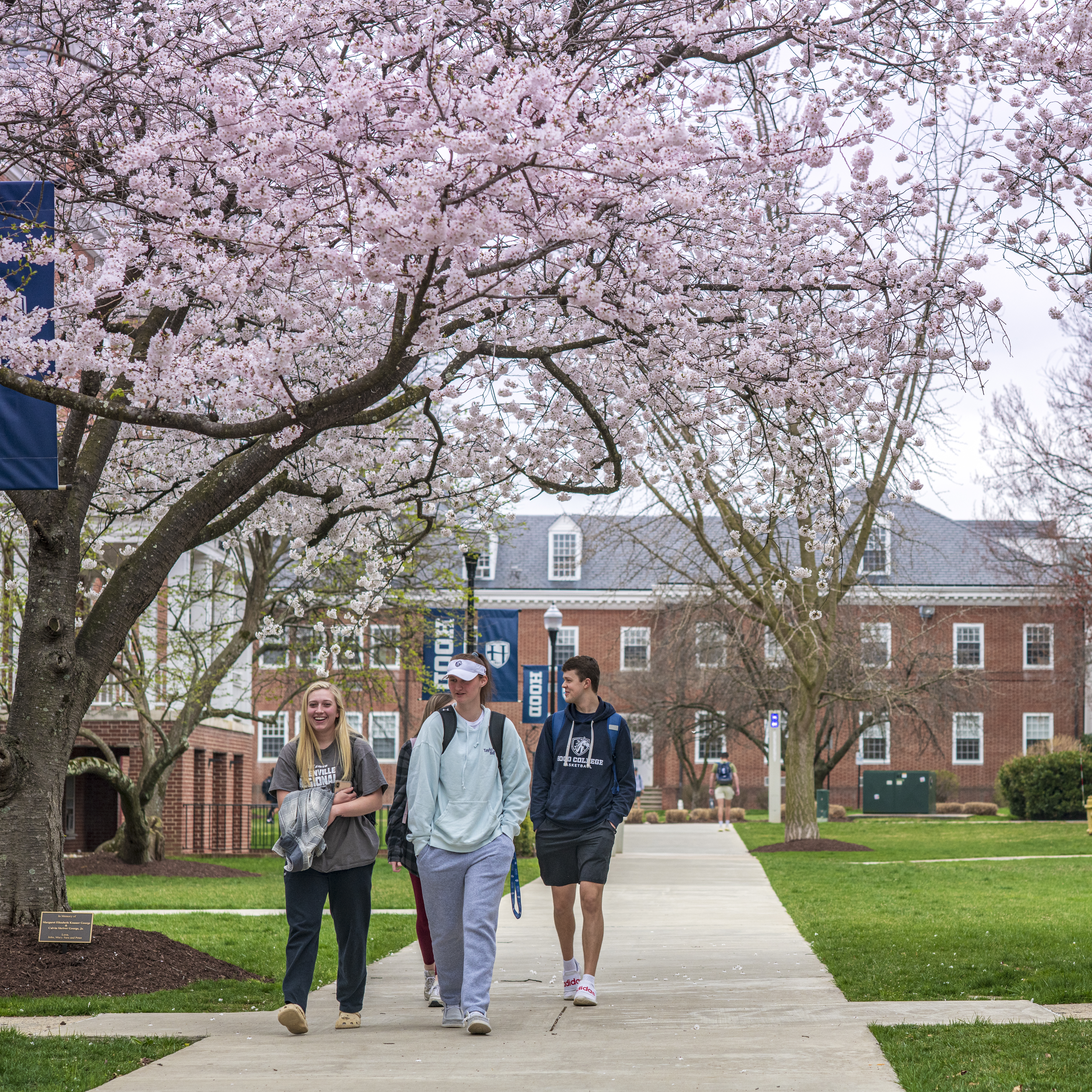 Students walking around campus