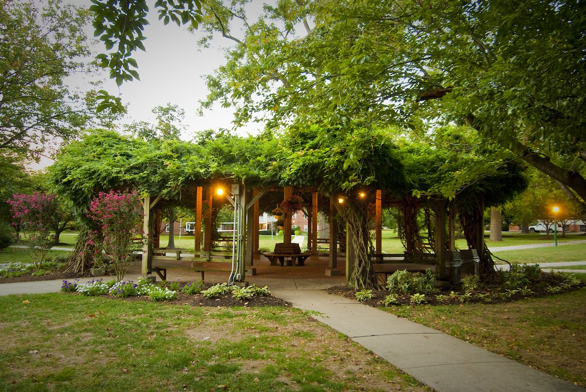 Photo of Hood College's Pergola in the evening with lantern lights hanging from the top