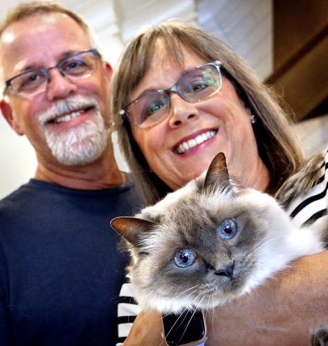 bambi volatile-goebel,spouse, cat