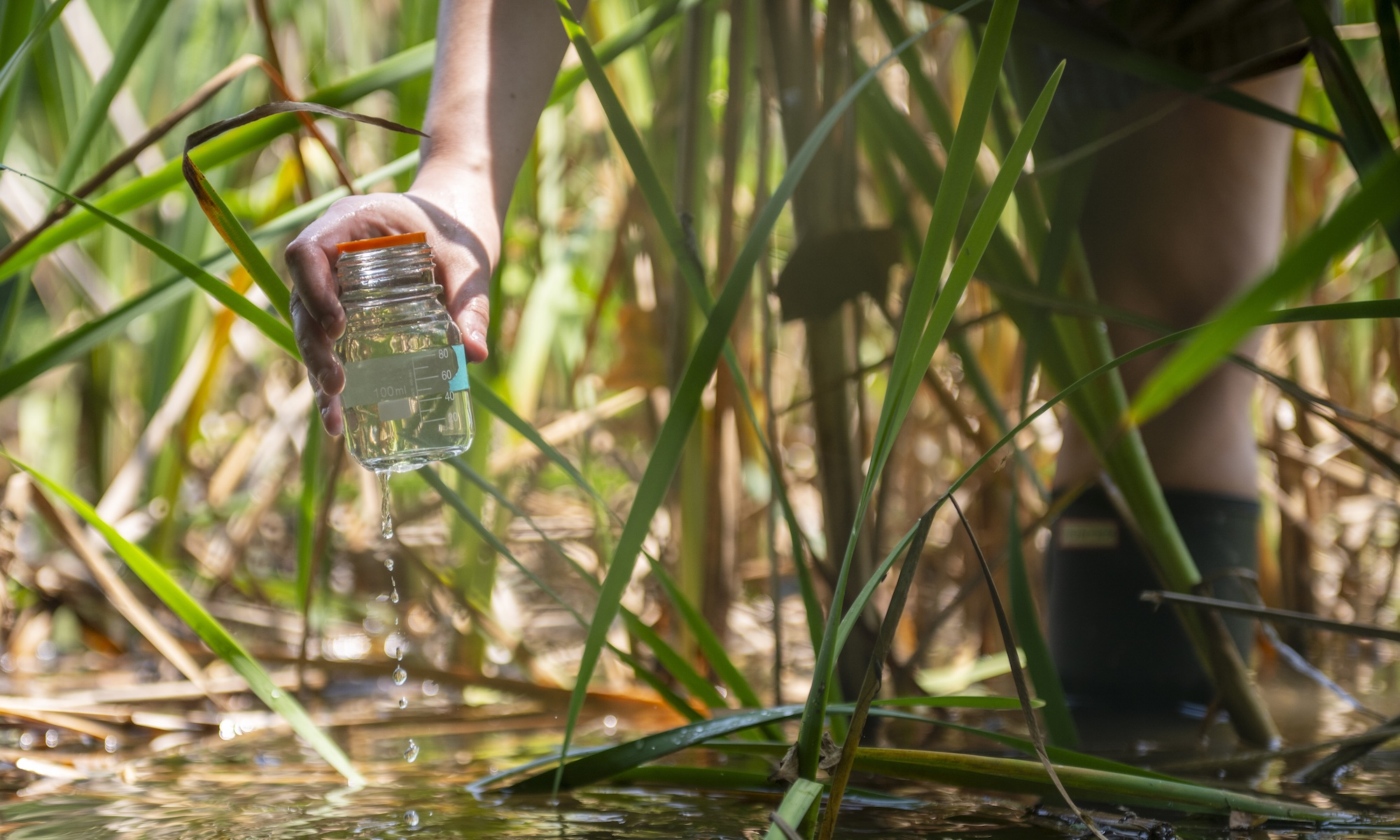 A Hood College student draws a water quality sample from a Lake Linganore 