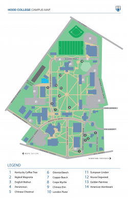Thumbnail image of Printable Tree Walk Map