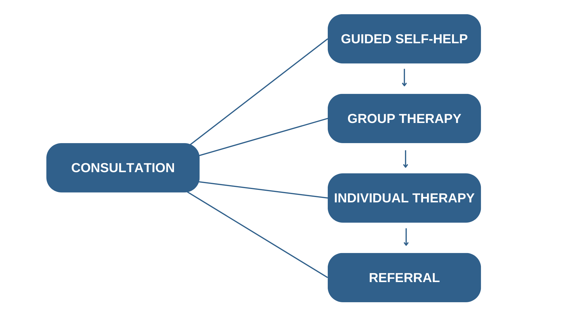 Continuum of Care Diagram