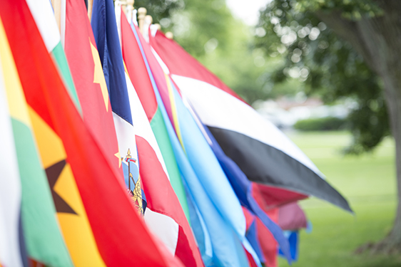 International flags