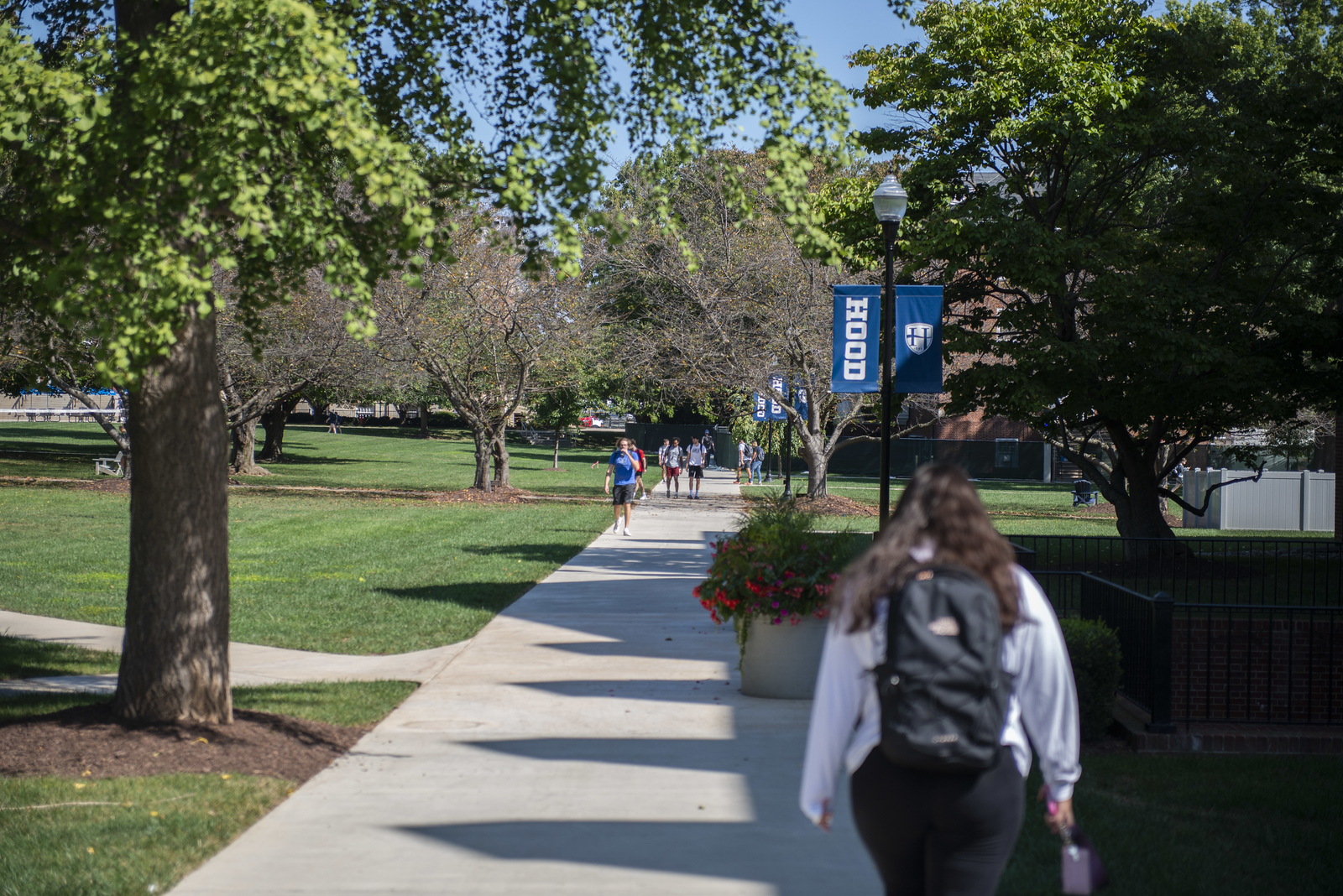 Student walking on quad