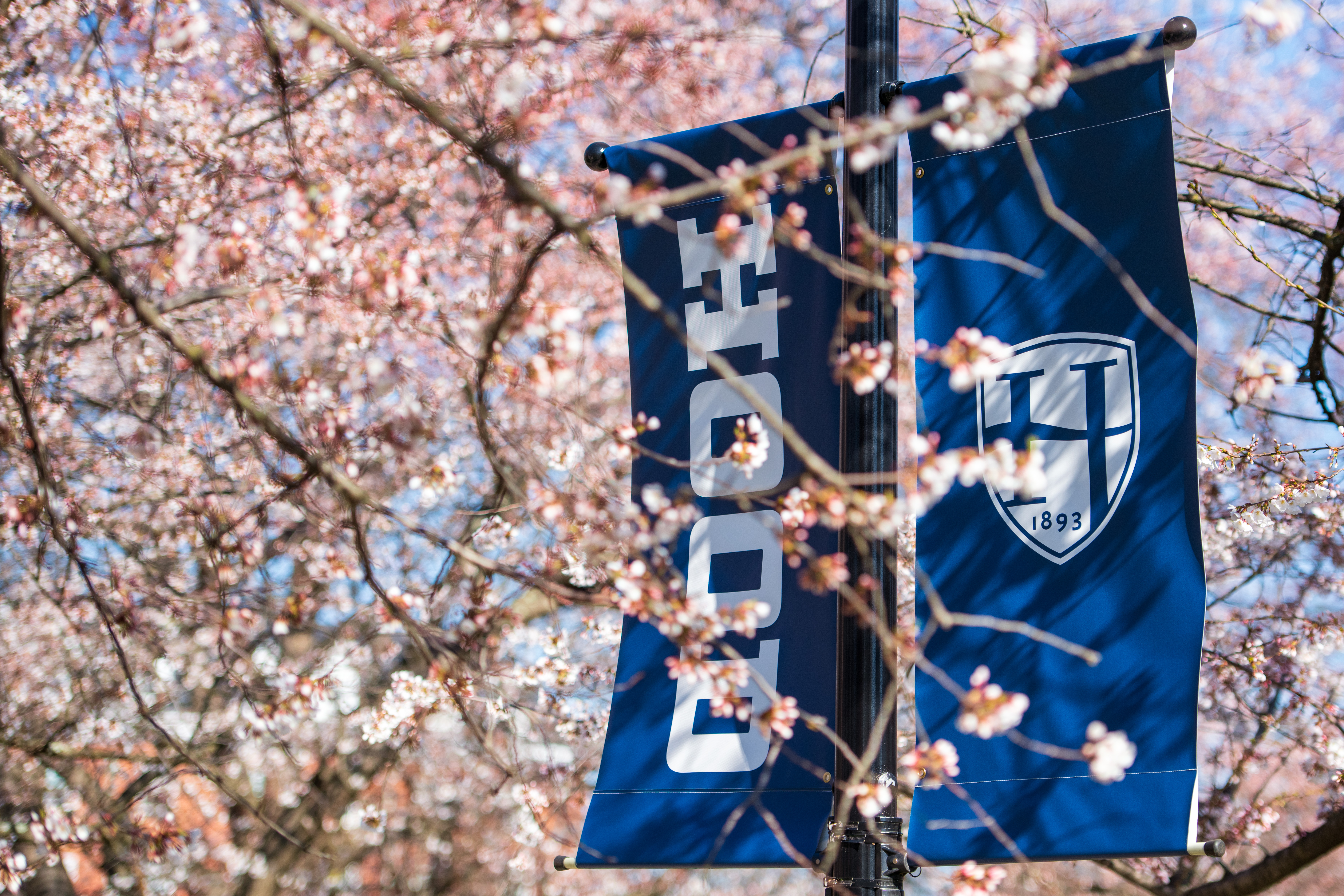 hood spring banner