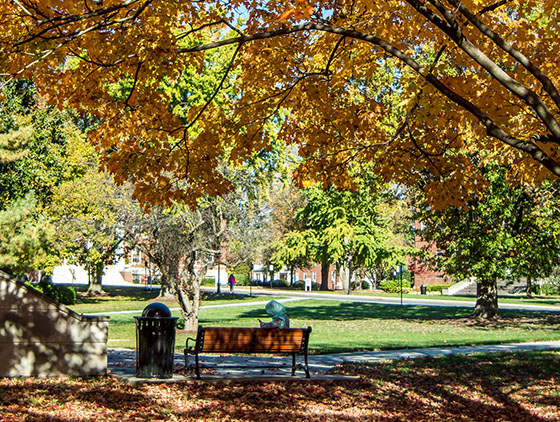 fall pic on campus