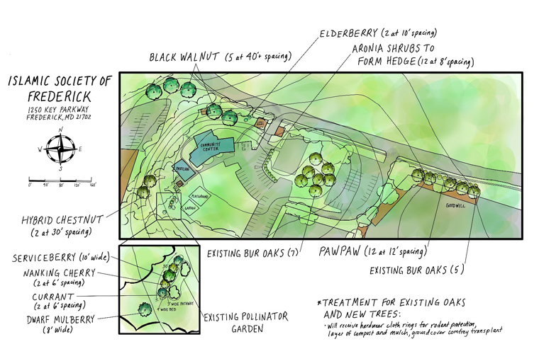 Planting Map