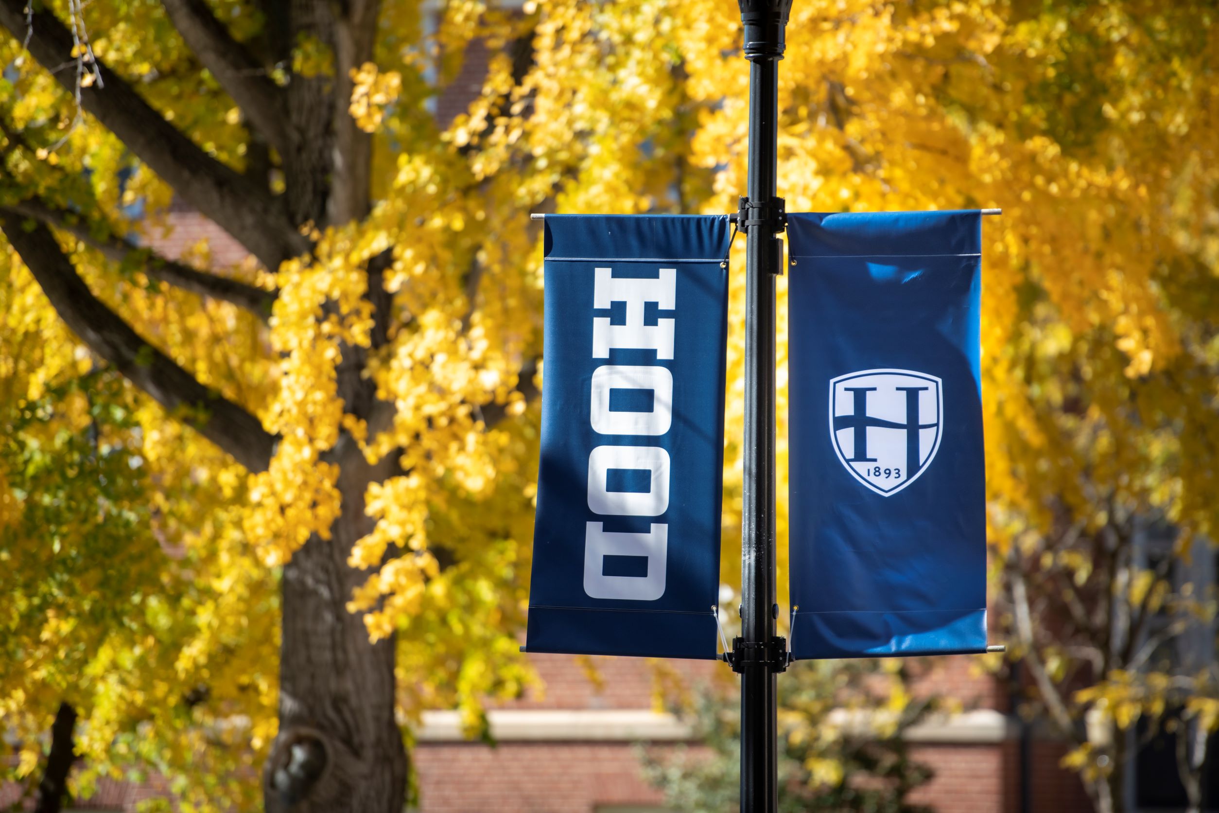 A Hood College banner hangs on campus during the fall 2022 semester