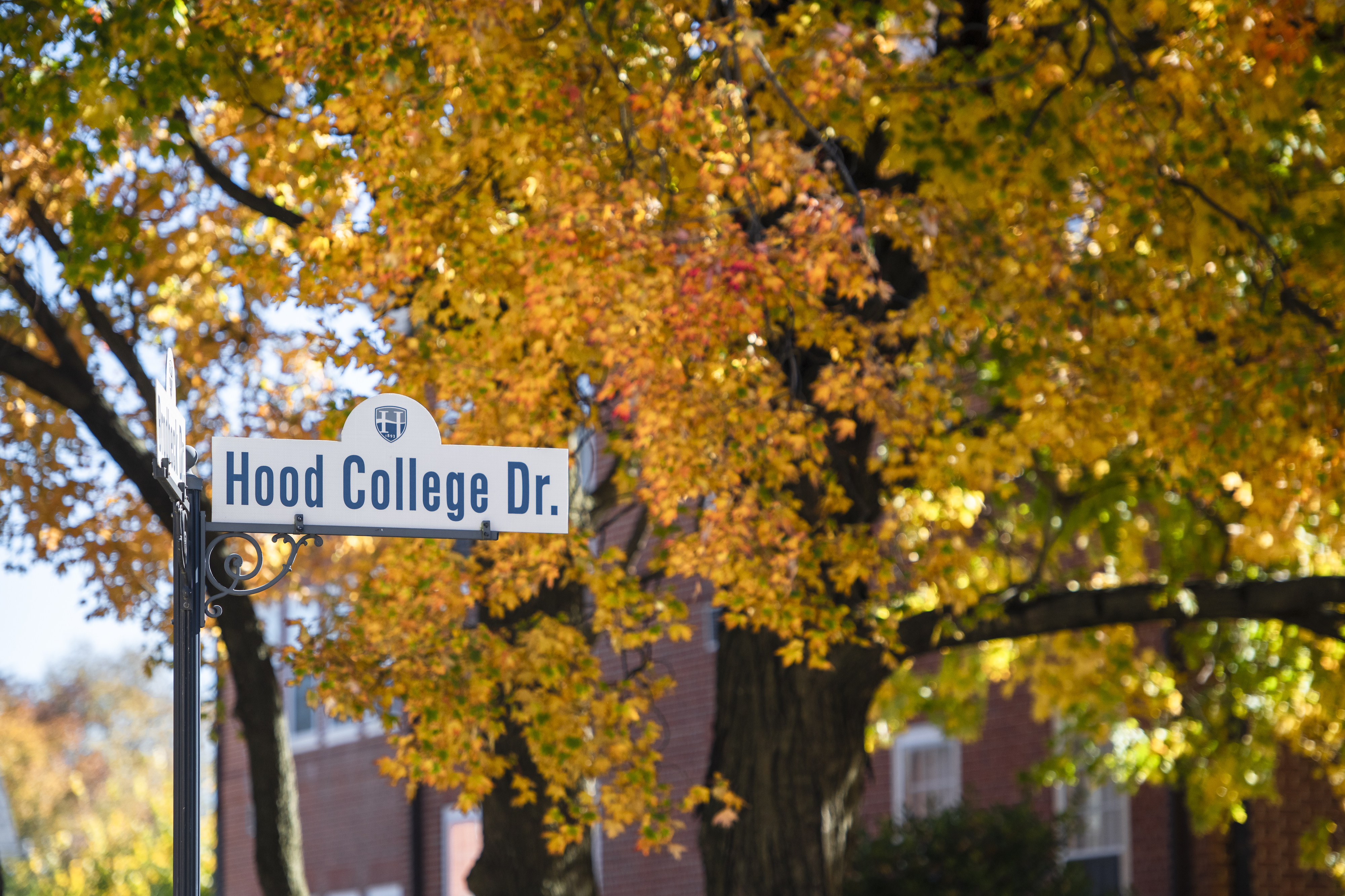 The corner of Hood College and Brodbeck Drive