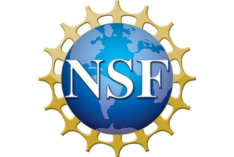 NSF Grant