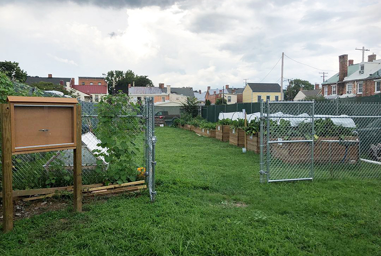 Religious Coalition Garden