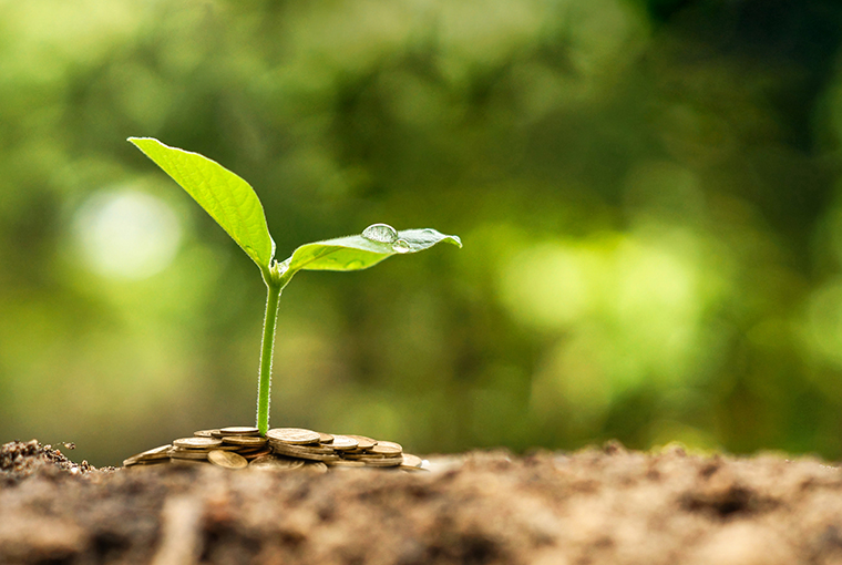 Sustainability Studies