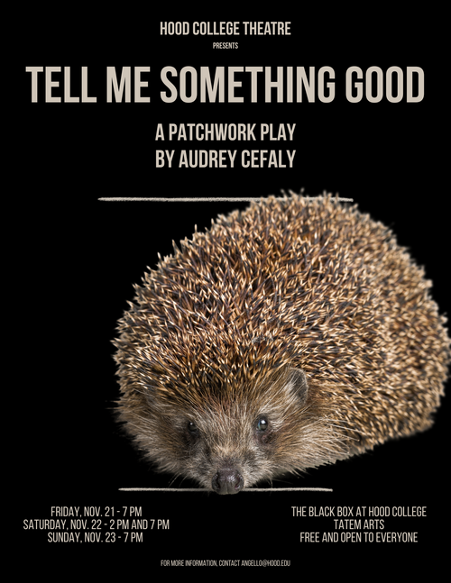 Tell me Something good theatre hood college