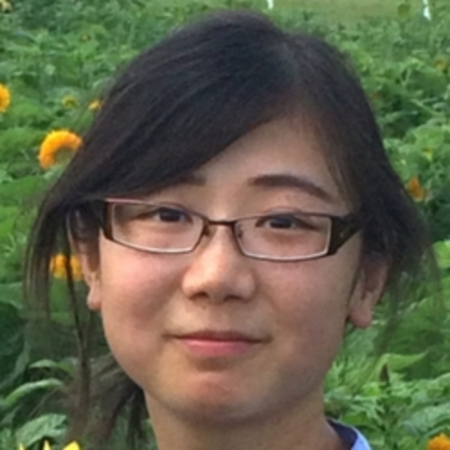 headshot of cherry liu