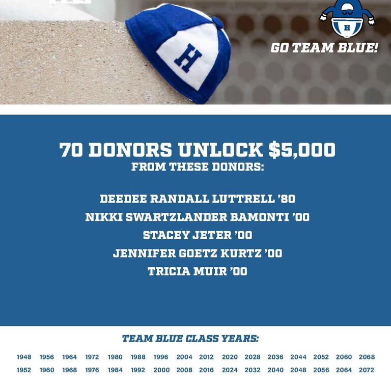 Blue Dink Challenge - 2024
