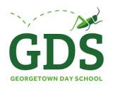 GDS Logo