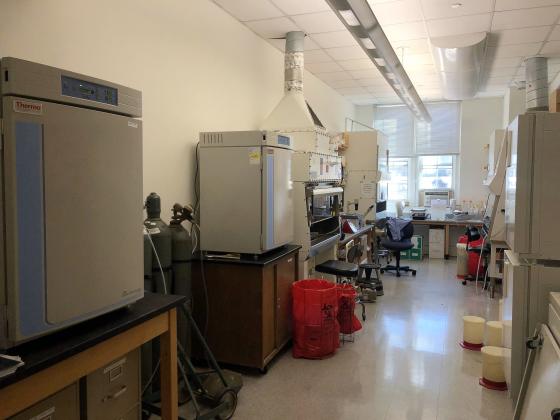 Labs for faculty-student research 