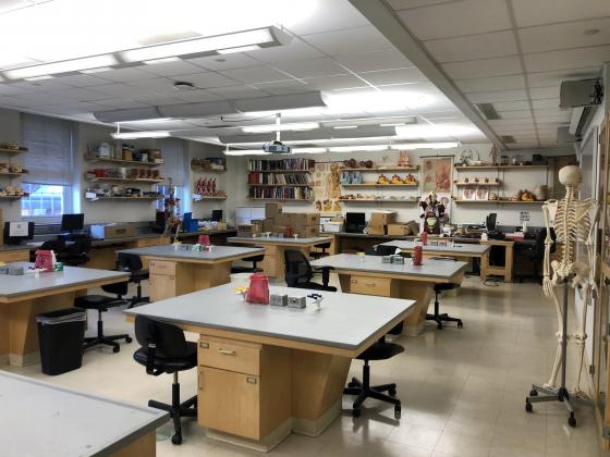 Well-equipped, specialized teaching labs