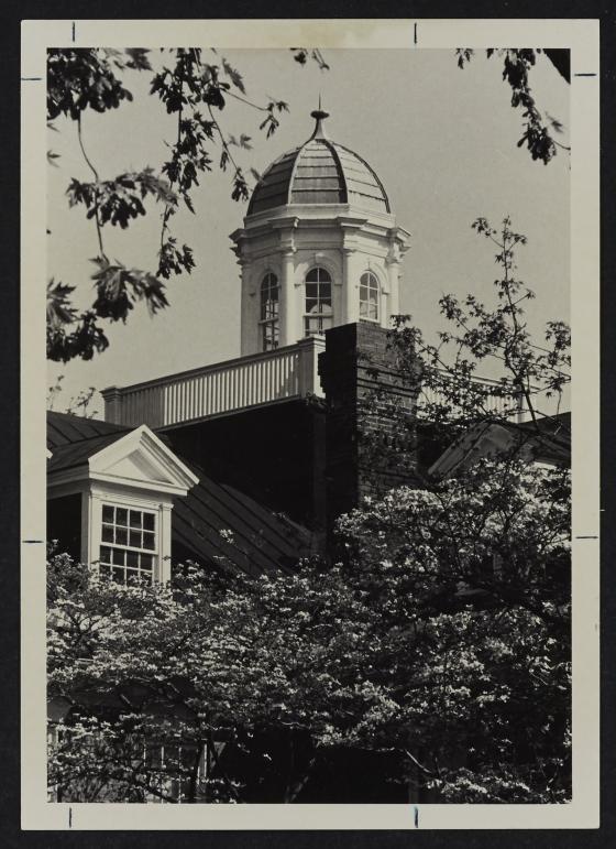 Brodbeck Cupola