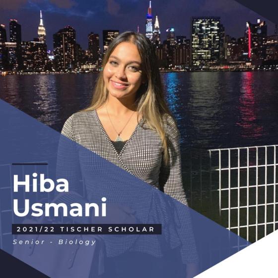 Hiba