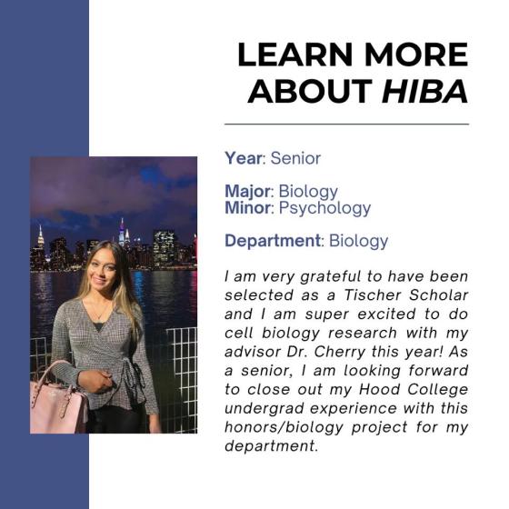 Hiba Project