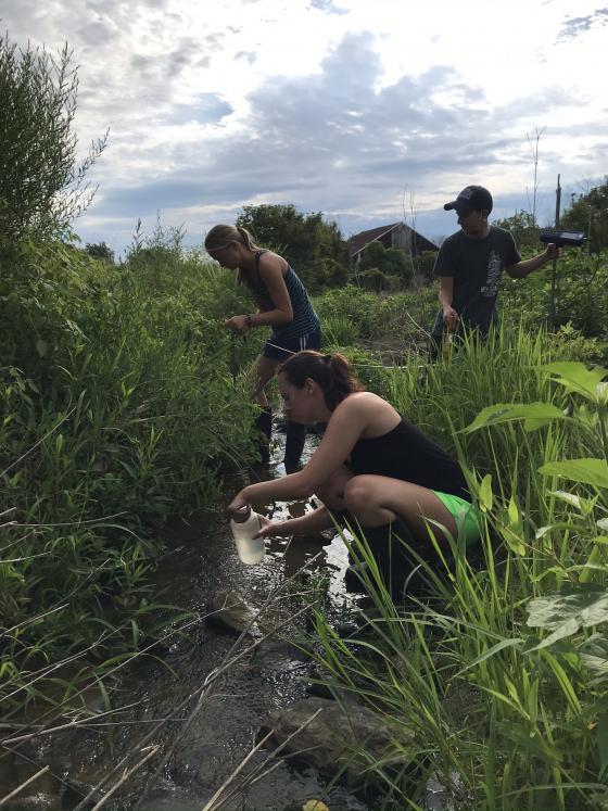 Stream sampling