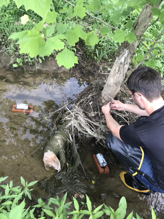 Student deploying stream temperature logger