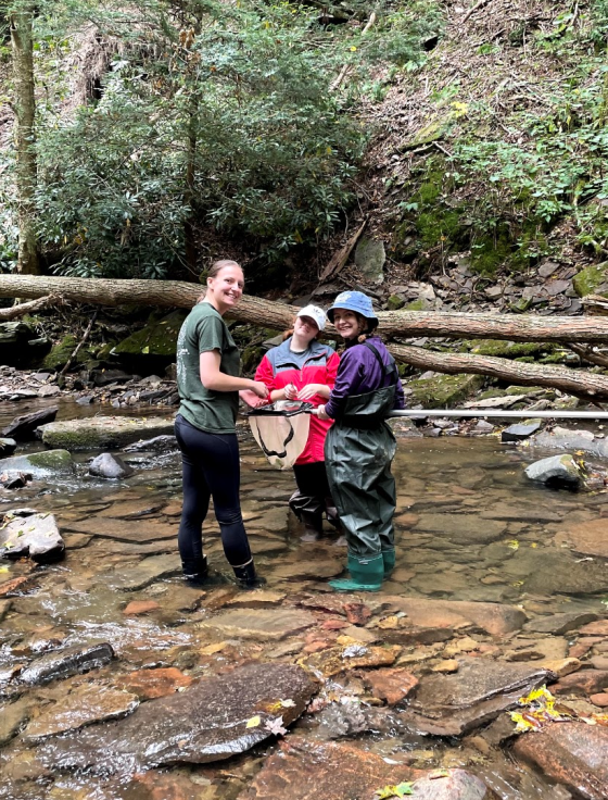 (right to left) Katie Valla, Emily Sponaugle, and Brooke Gooding shuffle for macroinvertibrates in the Savage River on a Coastal Studies trip to Western Maryland