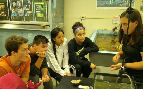Oyster Lab