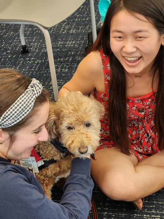 Students with therapy dog