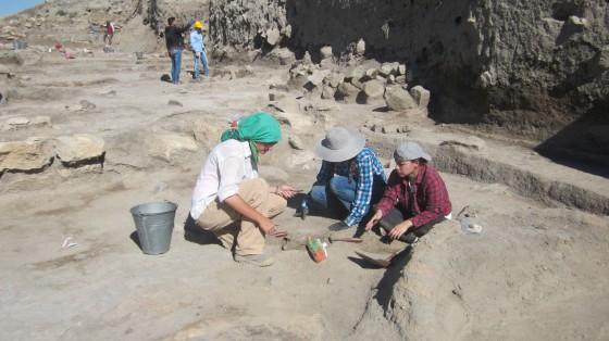 Teaching Digging