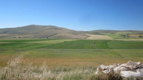 View from the Mound