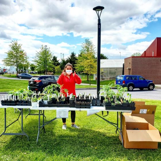 Heidi at plant sale