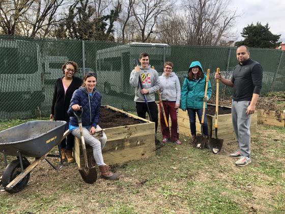 volunteers building