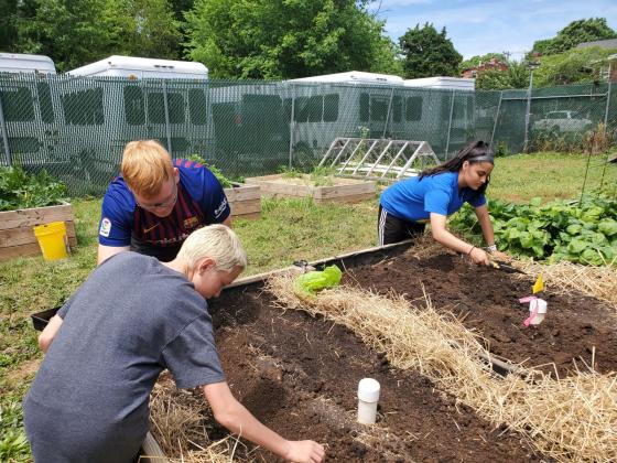 Students planting seeds at the Religious Coalition for Emergency Human Needs Garden