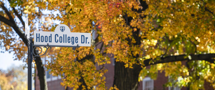 Fall foliage on campus.