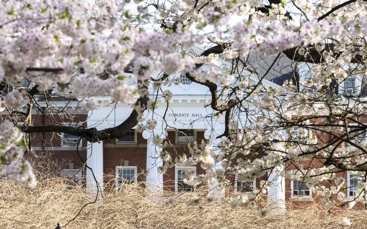 Hood College's residential quadrangle during spring 2025