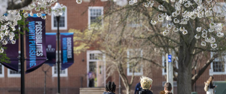 Spring scenic students walking on the quad