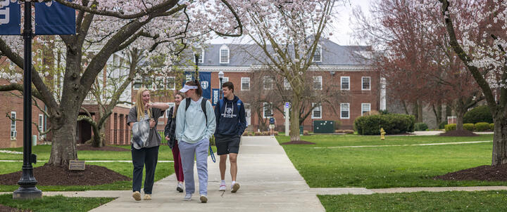 Students walking on the quad.