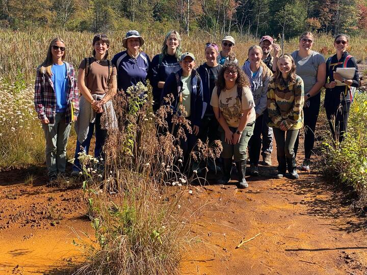 Acid Mine wetland -Kempton, MD