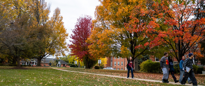 Fall scenic on campus