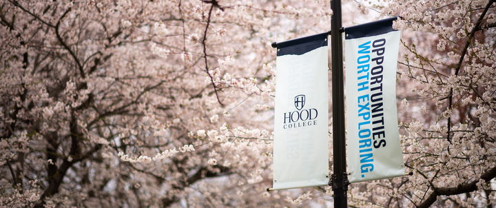 Spring campus scenic with blooming trees.