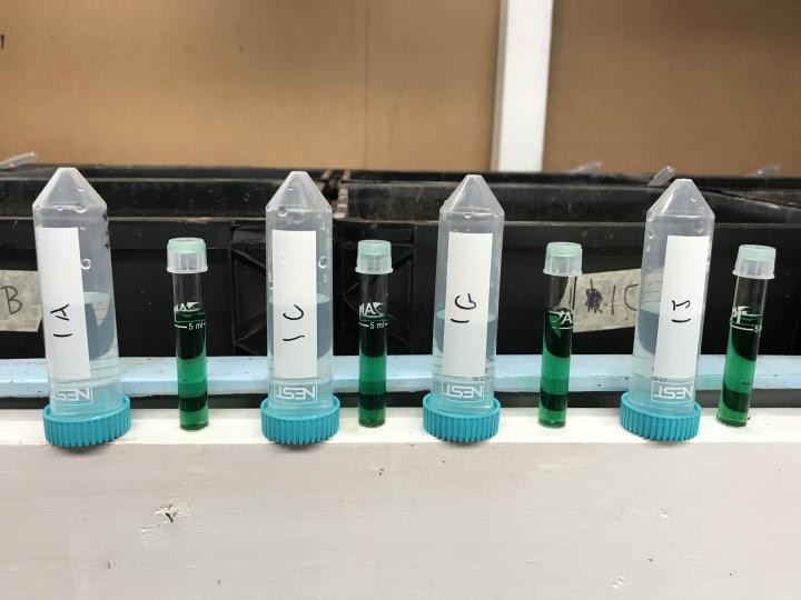 test tubes used during MANTA research