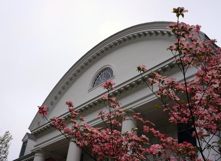 Campus Blooms