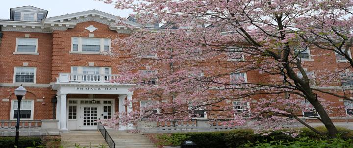 Campus Blooms