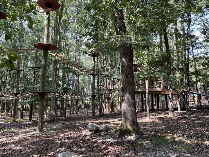 Tree Trekkers field trip