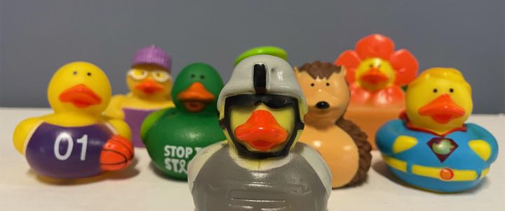 ducks