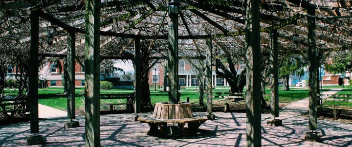 Pergola in spring