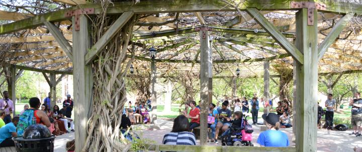 Students gathered in the Pergola